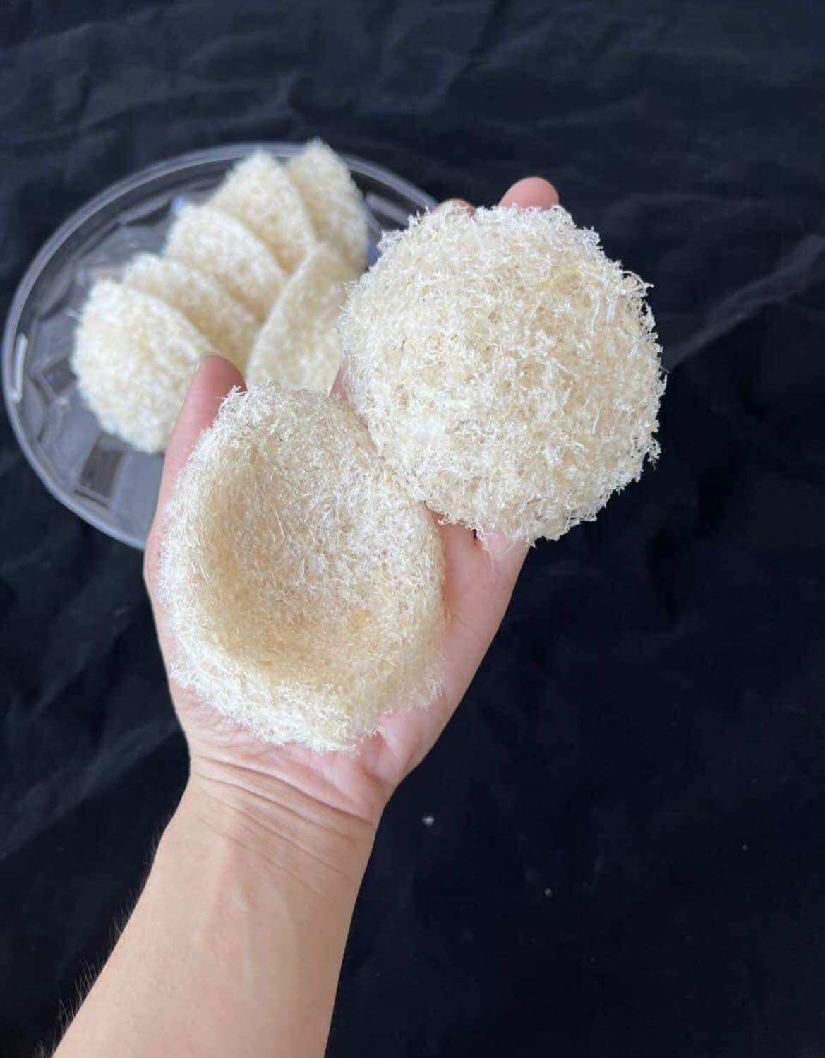 Tổ yến tinh chế làm từ yến vụn đắp tổ Hộp 50gr- 100gr tặng kèm đồ chưng