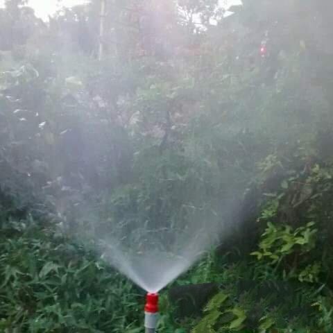 10 Béc vít tự chế màu đỏ -ren trong 21 (béc tưới CV - của Lại Trường Vũ)