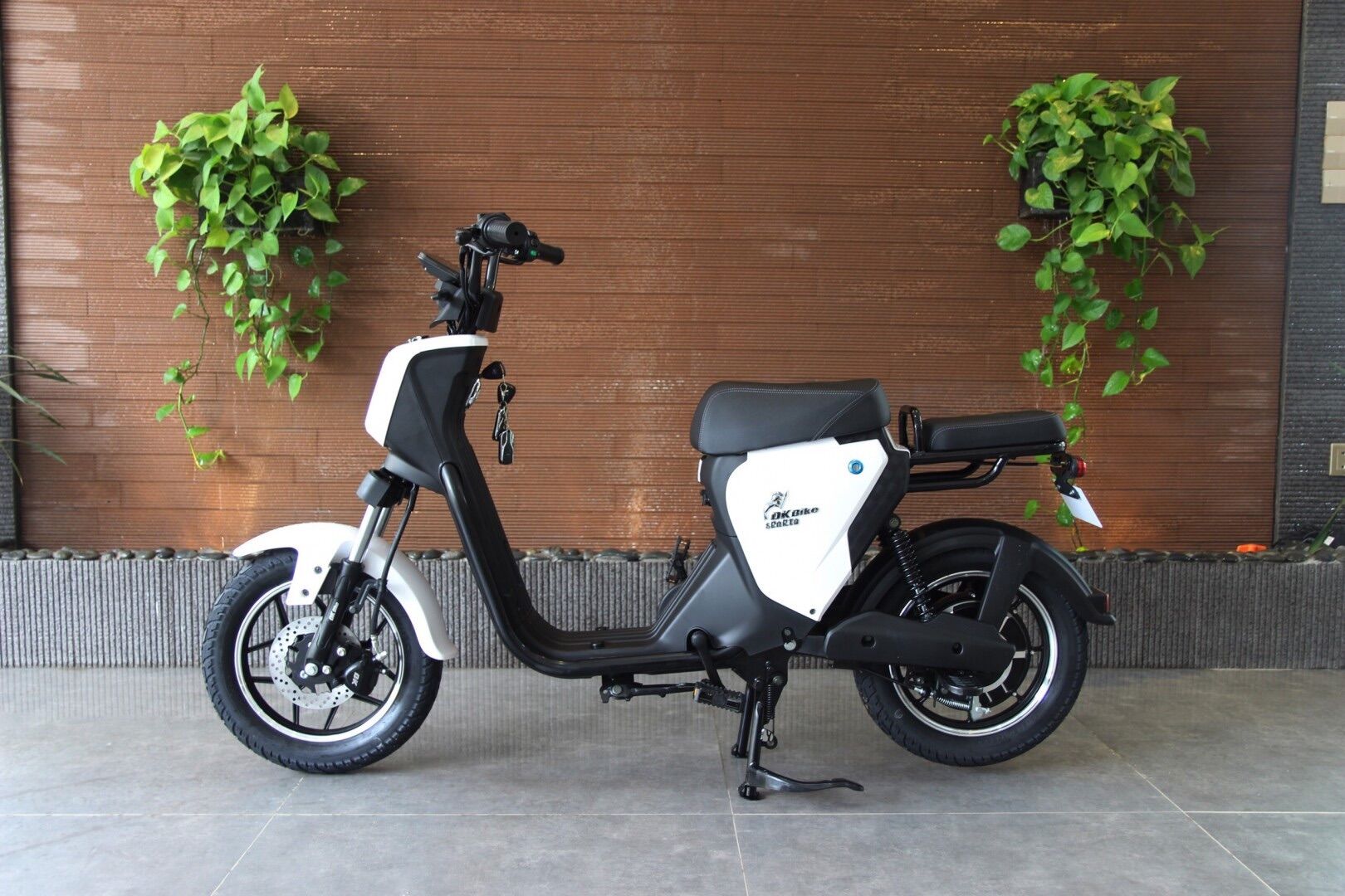 [HCM]XE ĐẠP ĐIỆN DKBIKE SPARTA