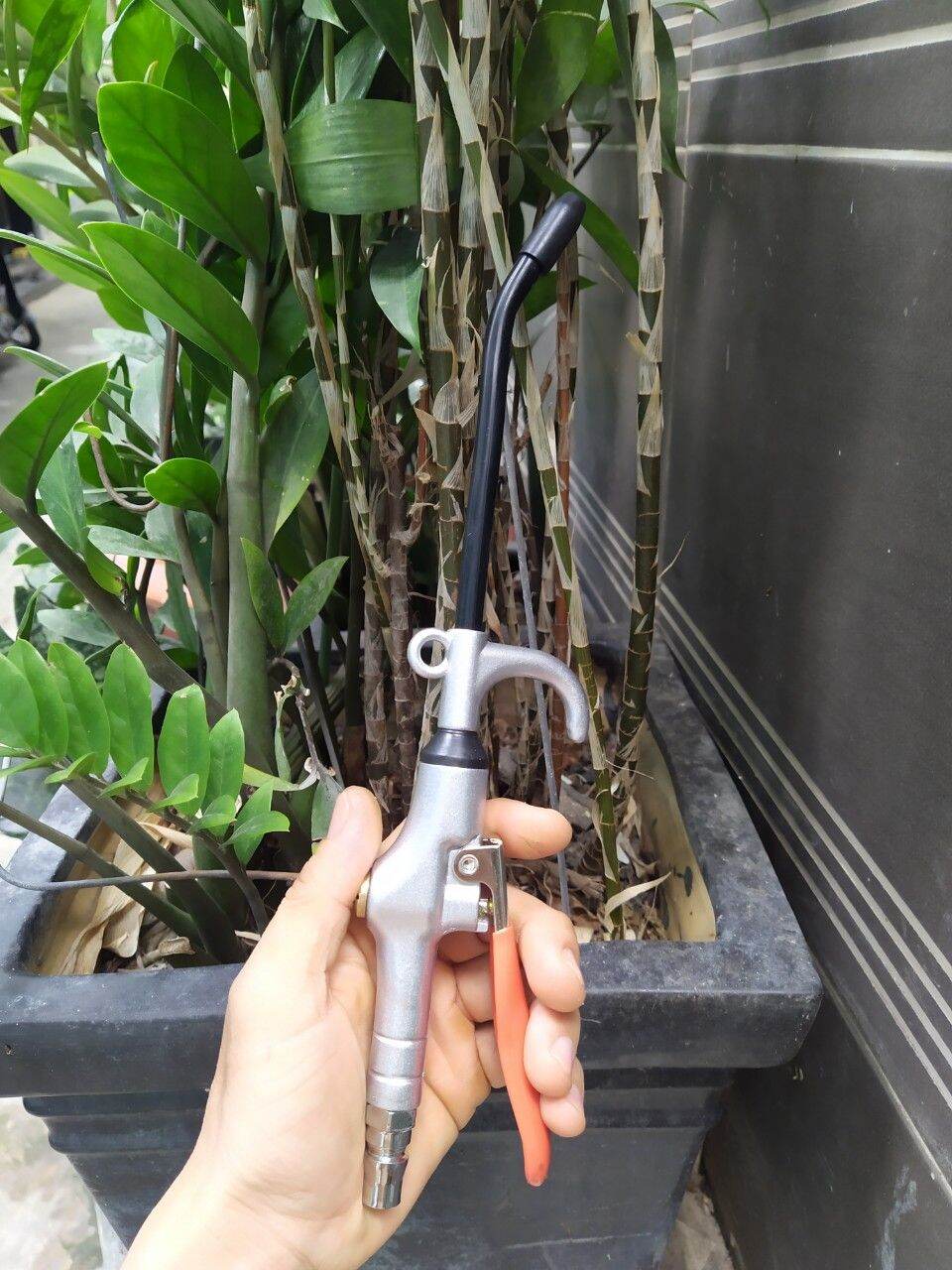 Xịt hơi Kapusi hàng bao đẹp