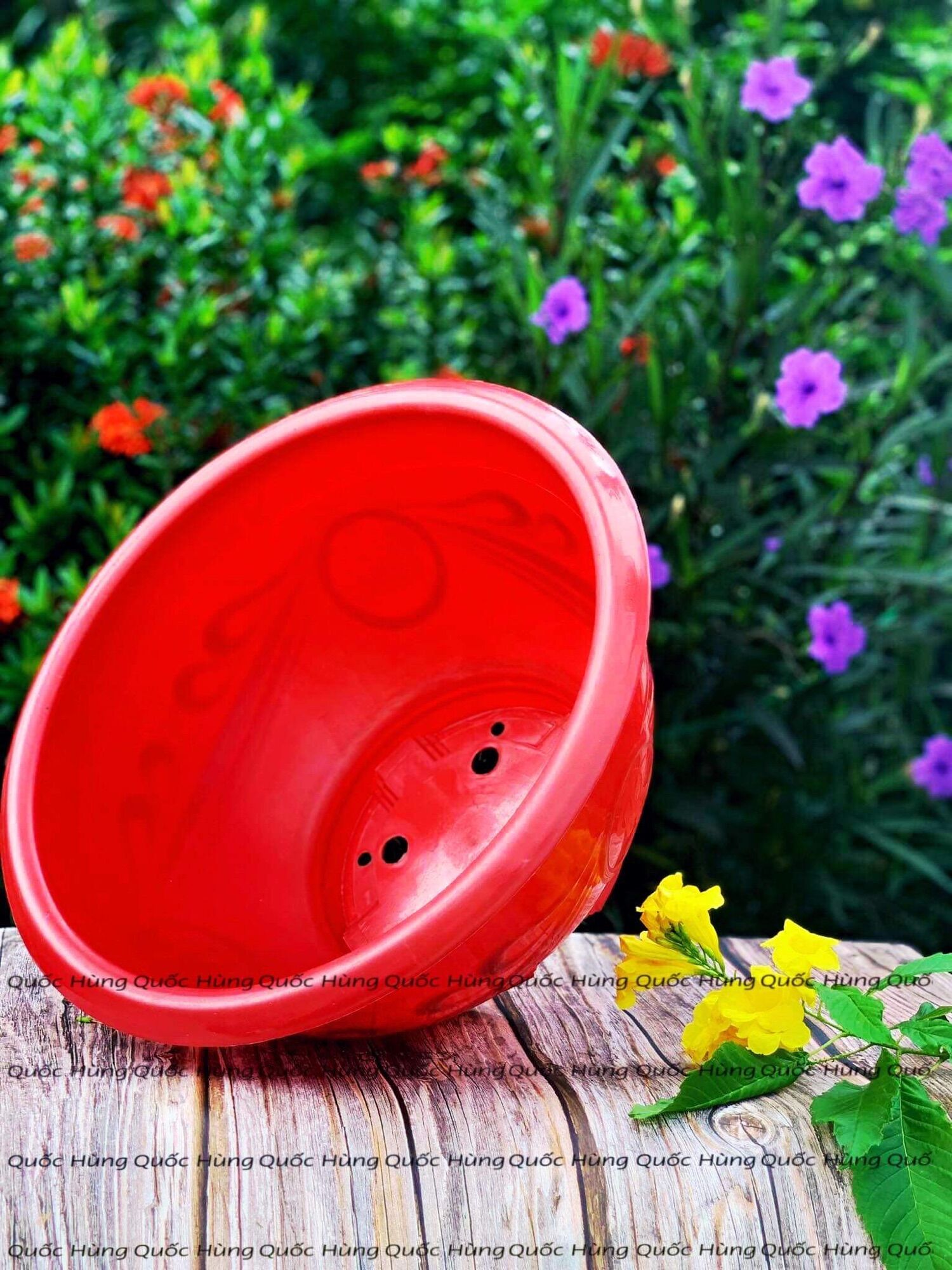 [ 10 Cái ] Chậu nhựa trồng cây T33
