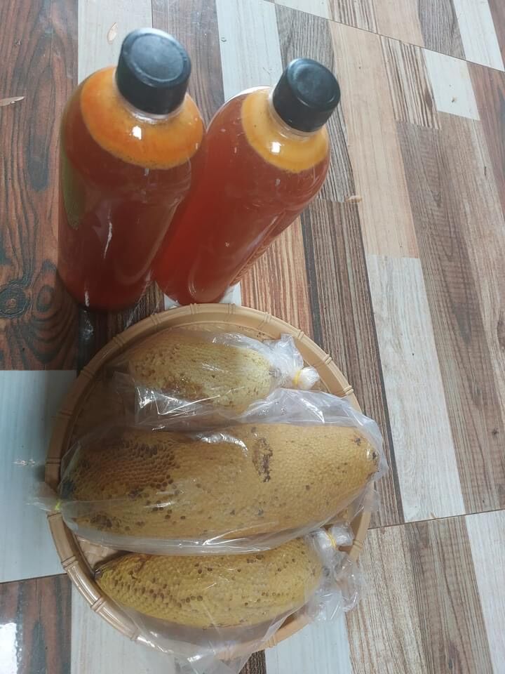 1 lít mật ong rừng hoang dã_đền gấp 100 lần nếu mật giả
