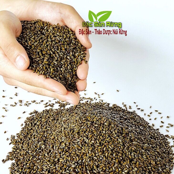 ( 1kg ) HẠT MUỒNG ( Thảo Quyết Minh ) ĐÃ XAO THƠM - ĐSR