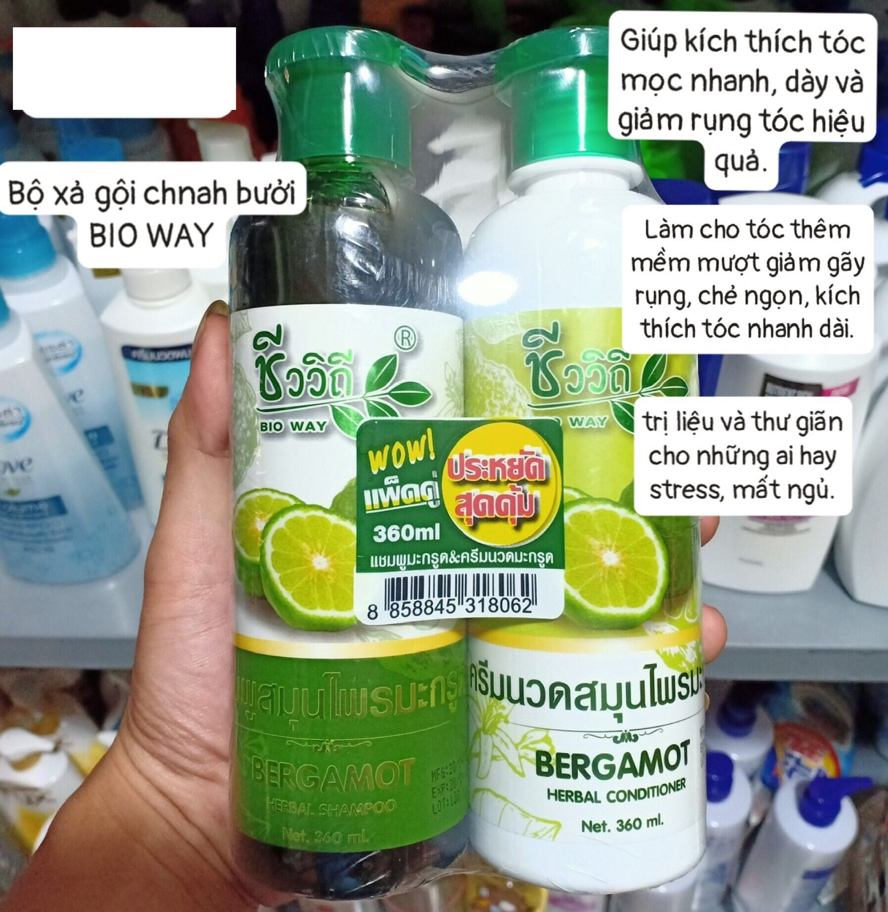 DẦU GỘI & XẢ TINH DẦU SẢ CHANH THÁI LAN