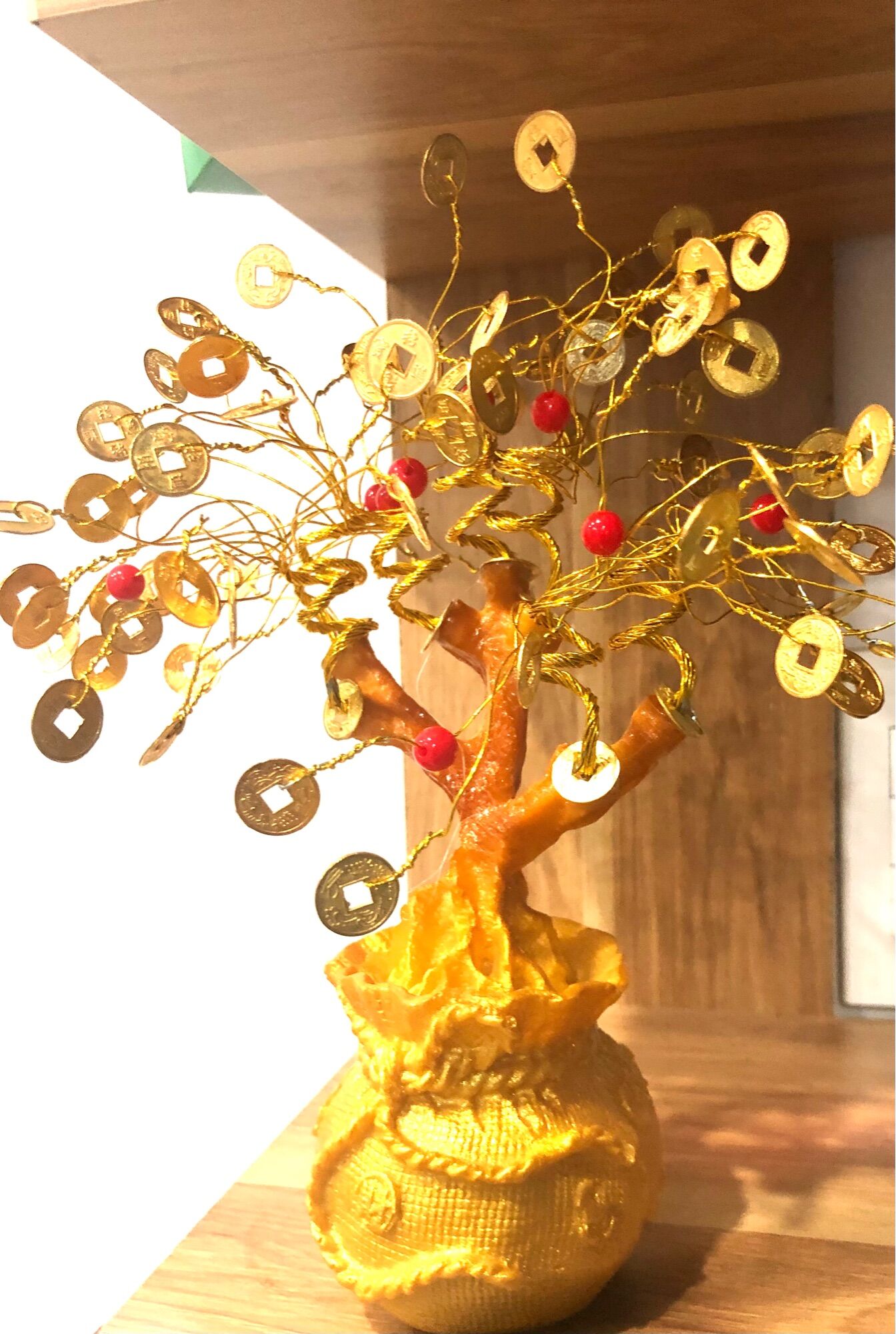 Cây tài lộc