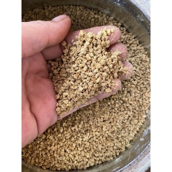 1kg Cám Viên gà con, chim con, chuột