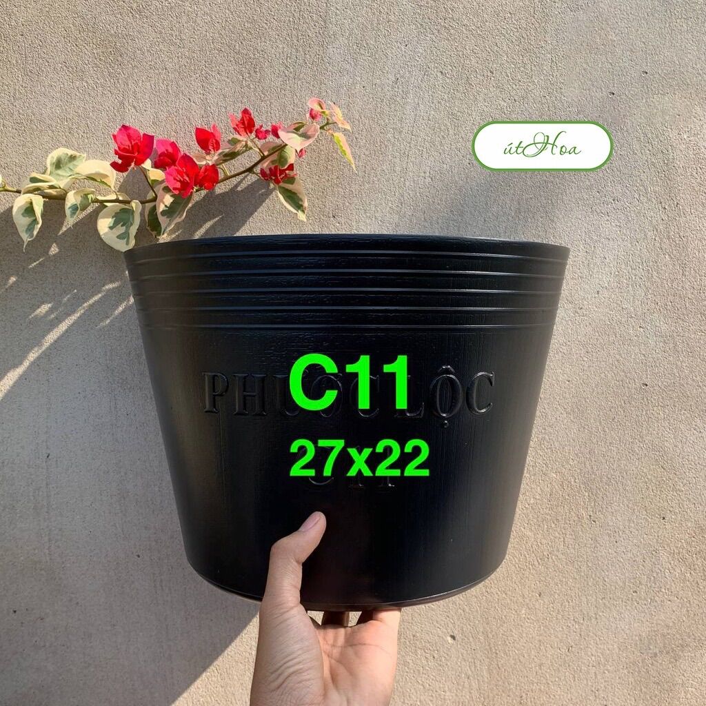 Chậu nhựa đen C11 trồng cây sân vườn