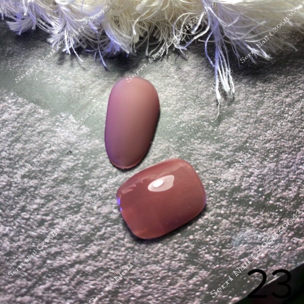 SƠN THẠCH BO BO (GEL HƠ MÁY)