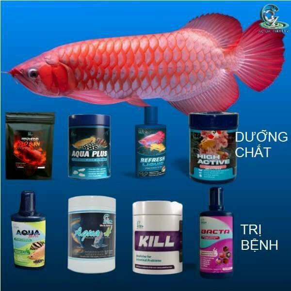 HIGH ACTIVE 100ML - VITAMIN VÀ KHOÁNG CHẤT THIẾT YẾU DÀNH CHO CÁ