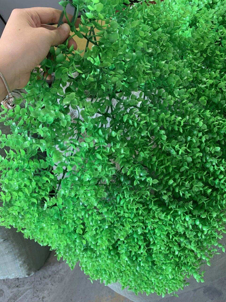 THẢM CỎ TAI CHUỘT DÙNG TRANG TRÍ - KT 60X40CM