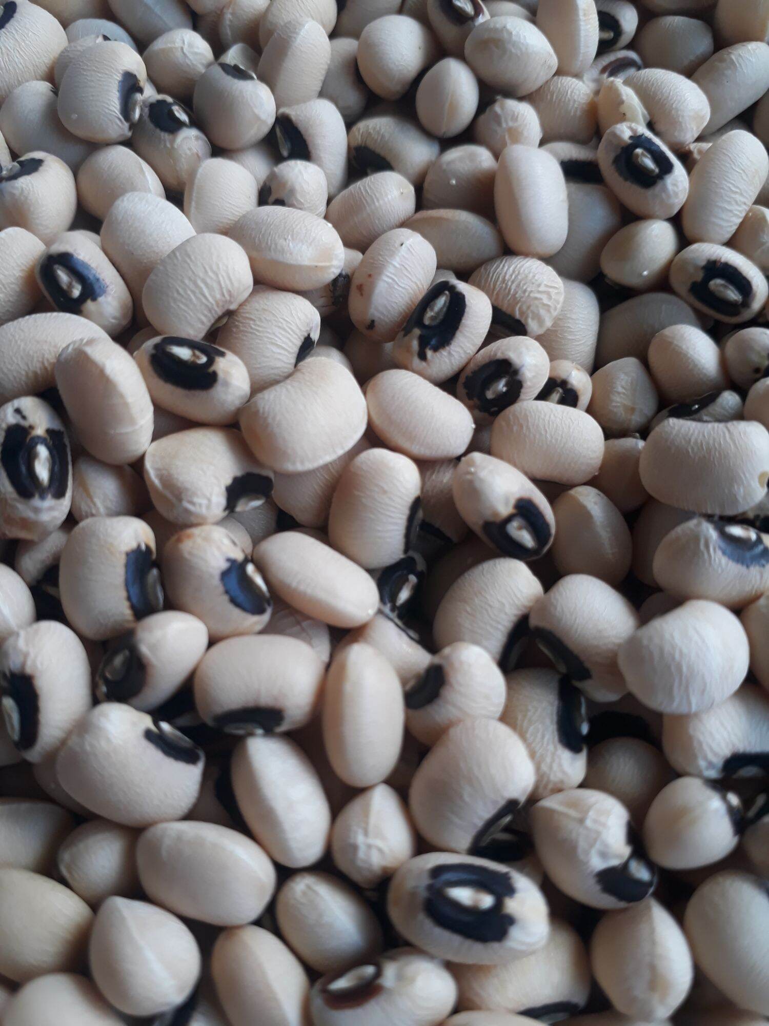 Đậu trắng mắt cua (đậu mắt đen) 500g