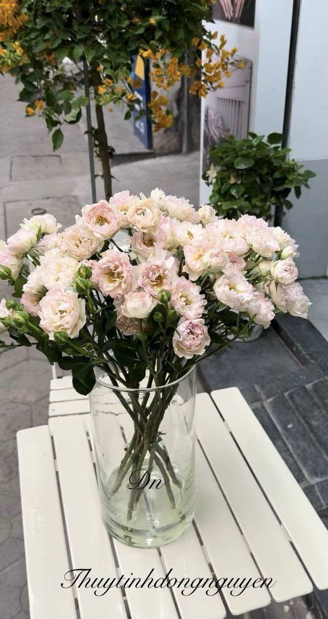 (D12cm x H25cm) Lọ hoa bình thuỷ tinh trụ tròn 12x25cm (đường kính 12cm cao 25cm)