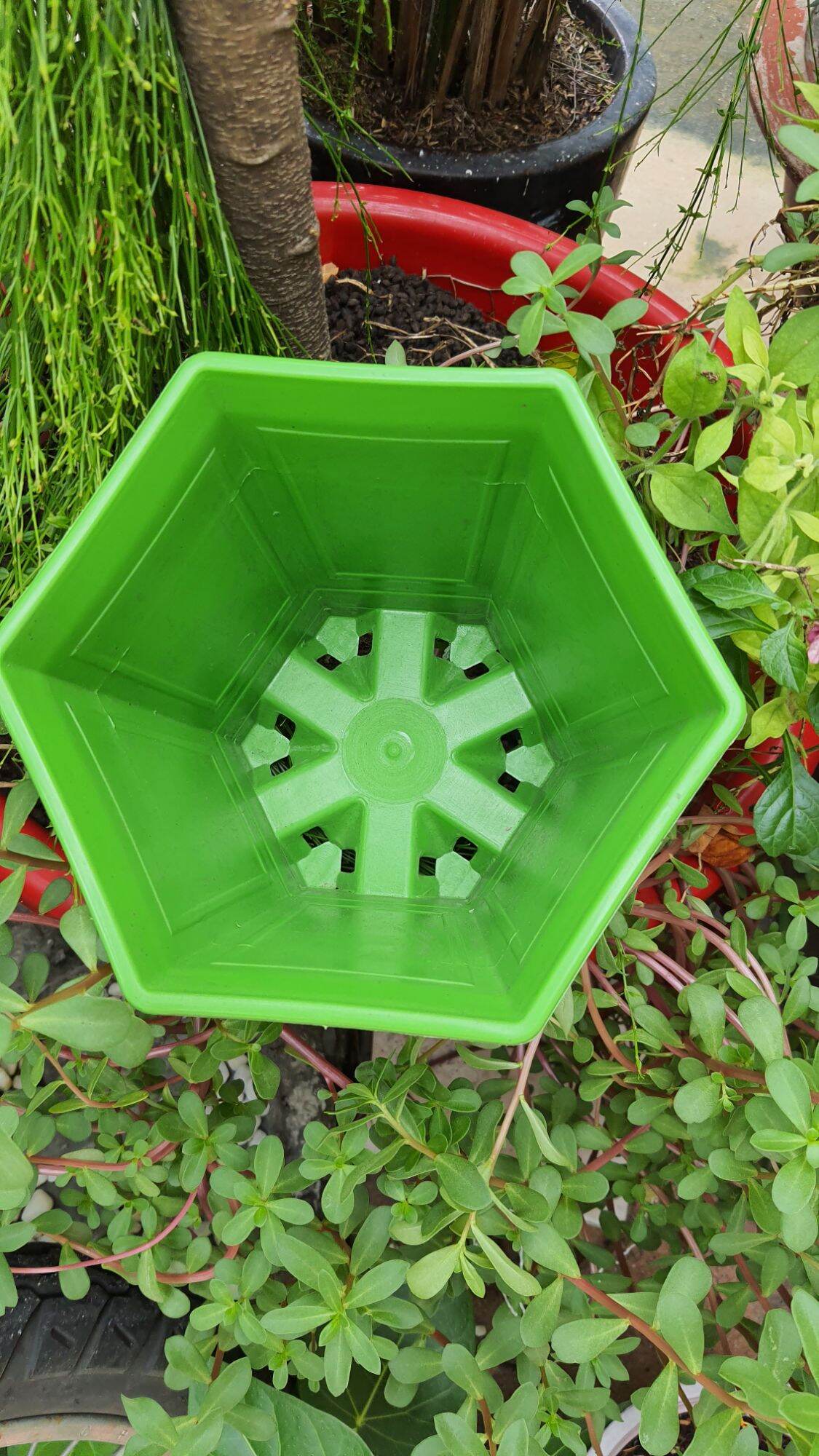 chậu lục giác in lụa chân cao size nhỏ 17x20cm