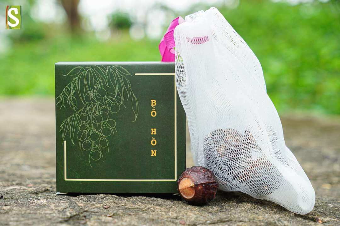 Hạt Bồ Hòn Tách Hạt 40g+ Túi Lưới HTX Sinh Dược