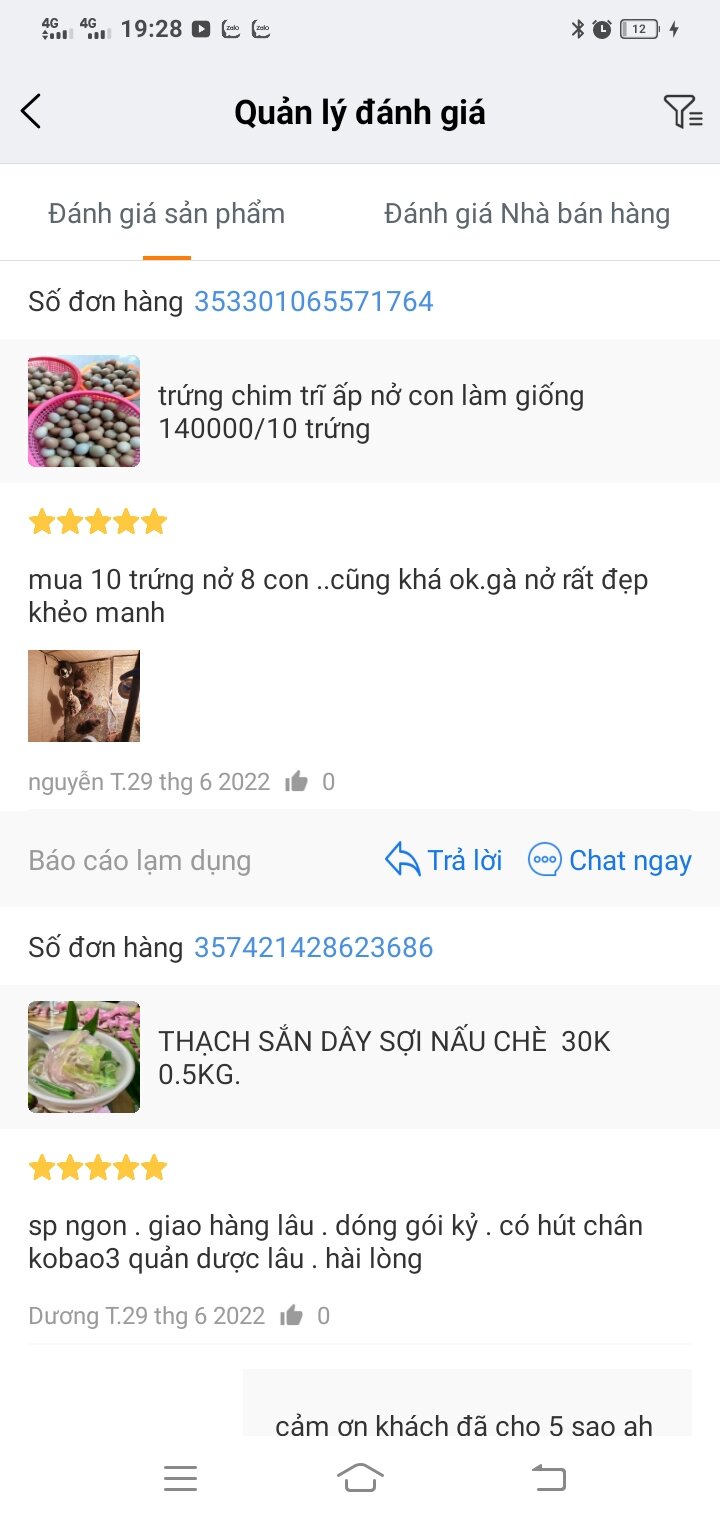 trứng chim trĩ 10 trứng về ấp