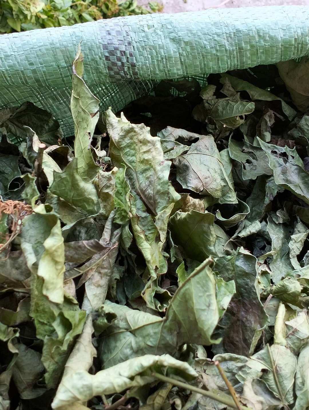 1 kg Xạ đen hoà bình ( khô hàng loại 1)