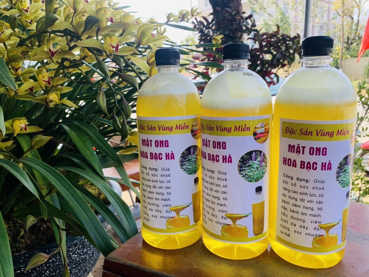 Mật bạc hà 1lít. Mật chuẩn bao test