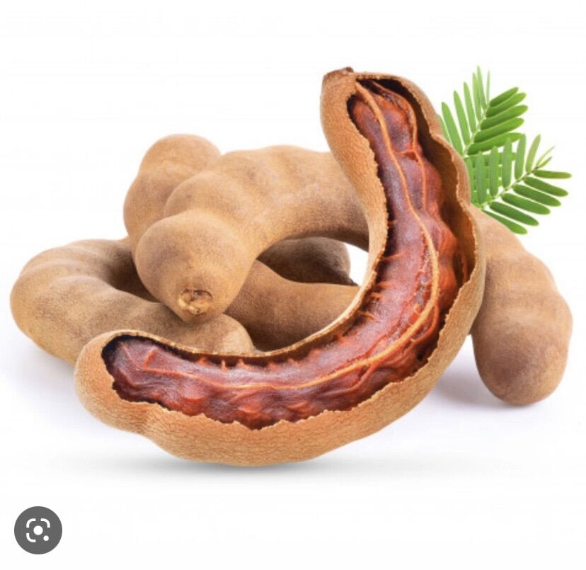 Cây giống me thái