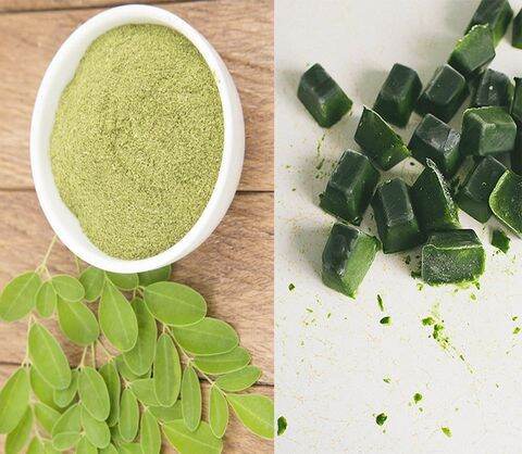 Bột Chùm Ngây Sấy Lạnh MORIS (100gr)