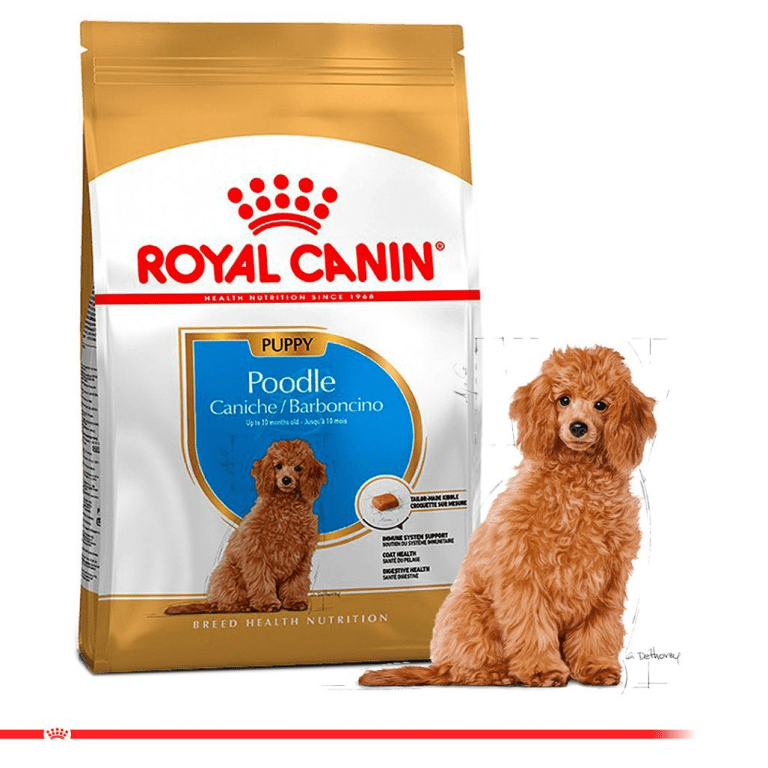 Thức ăn cho chó poodle con royal canin poodle puppy gói 1,5kg