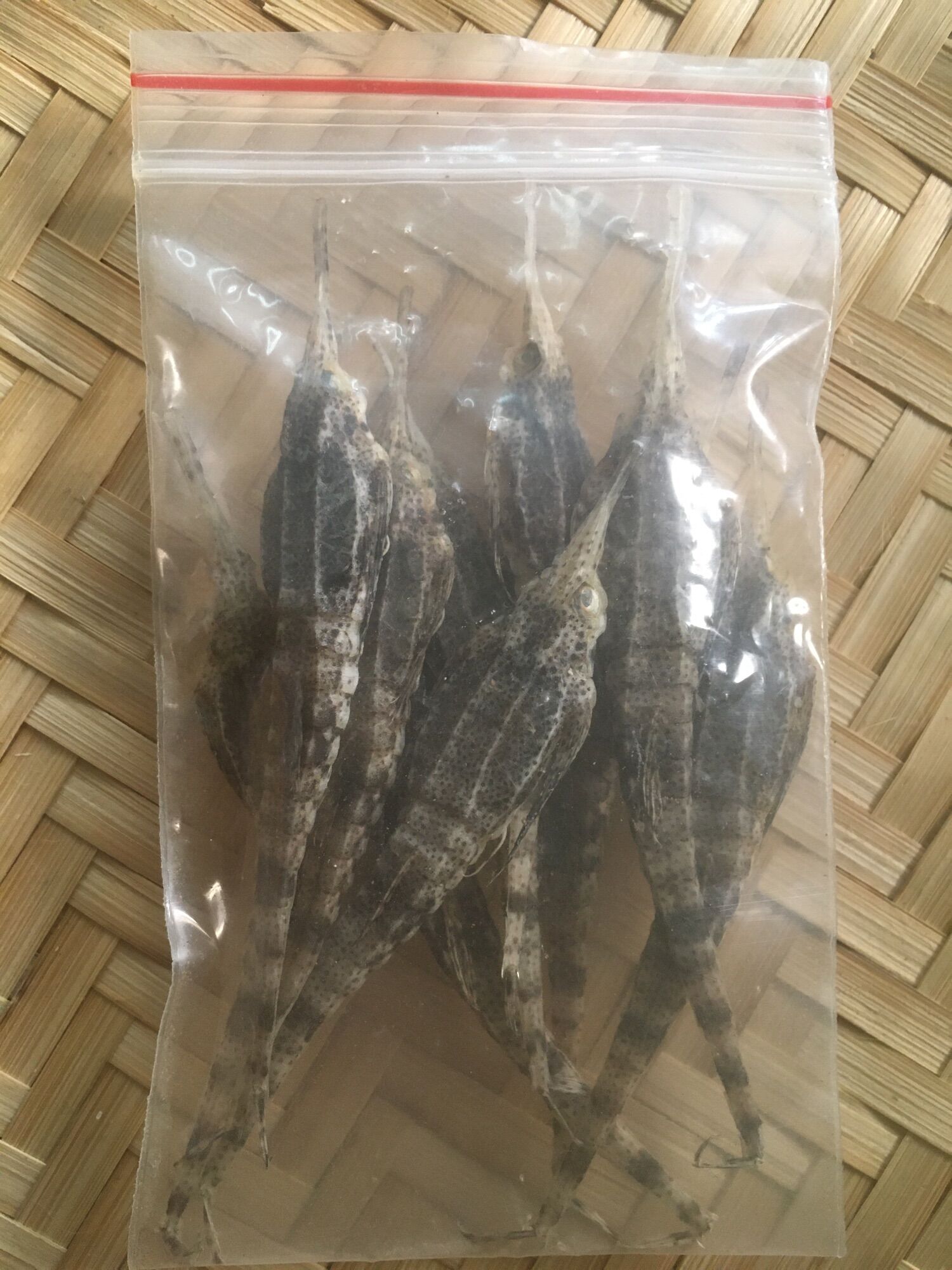 Combo 10 con cá hải yến ( hải kim) Phú Quốc- Kiên Giang
