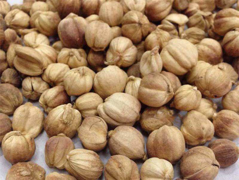 500g Bạch đậu khấu trắng cay thơm tốt cho sức khỏe, dùng nấu phở, lẩu cay Tứ Xuyên