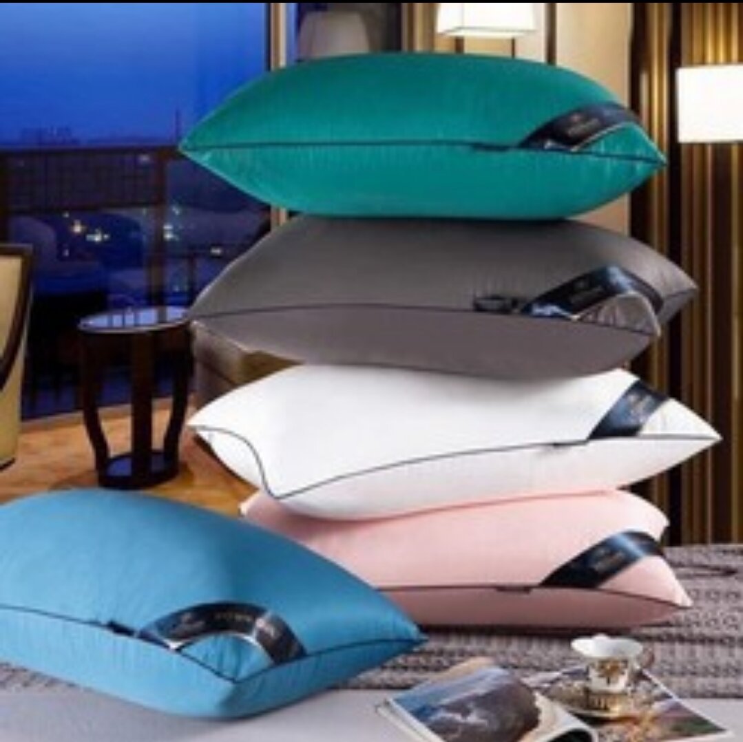 SET 2 CHIẾC RUỘT GỐI HƠI CAO CẤP