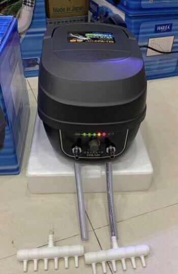 Máy oxi tích điện cp120