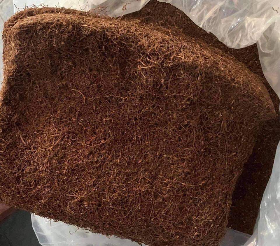 Đặc sản 36 thanh hoá