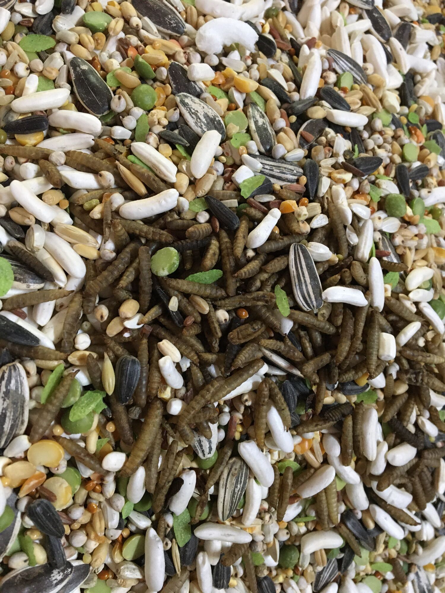Thức ăn cơ bản hamter 1kg