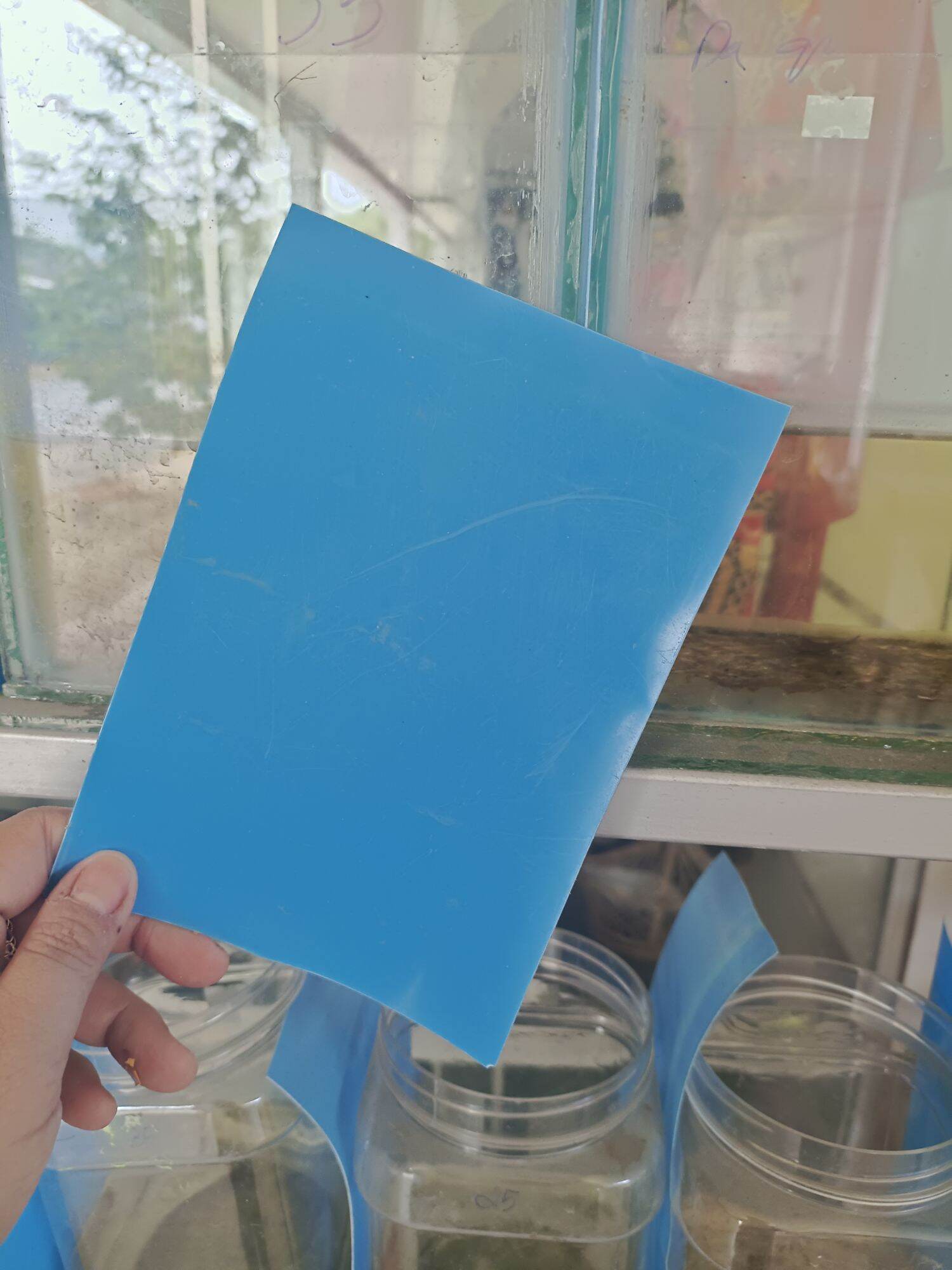 2 miếng chắn hồ cá betta