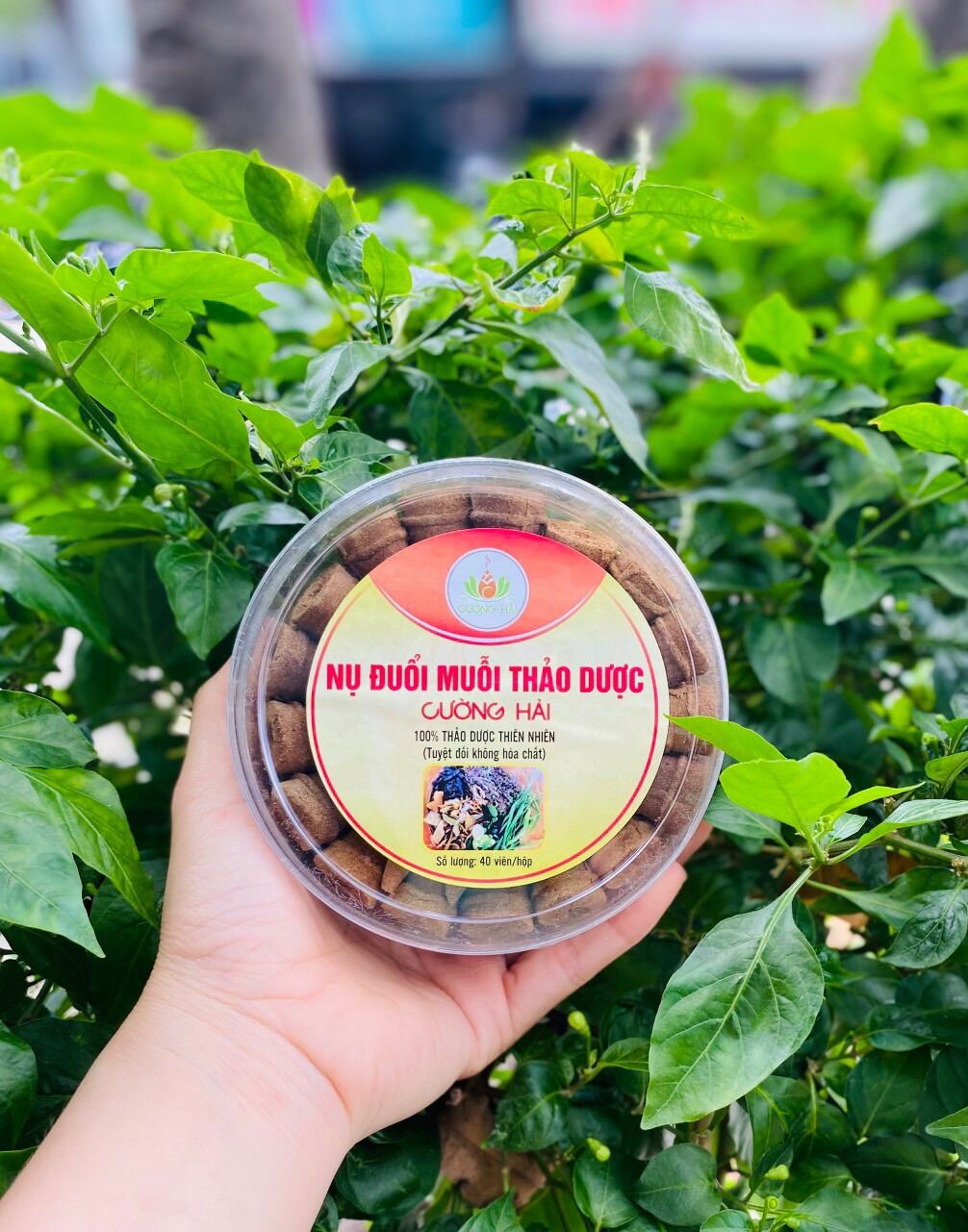 Nụ đuổi muỗi thảo dược[ HÀNG CHÍNH HÃNG CƯỜNG HẢI]