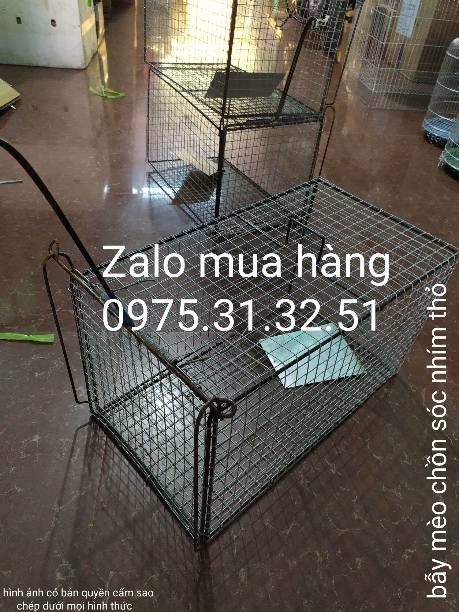 Lồng đặt bẫy mèo chó chồn cáo sóc nhím thỏ động vật