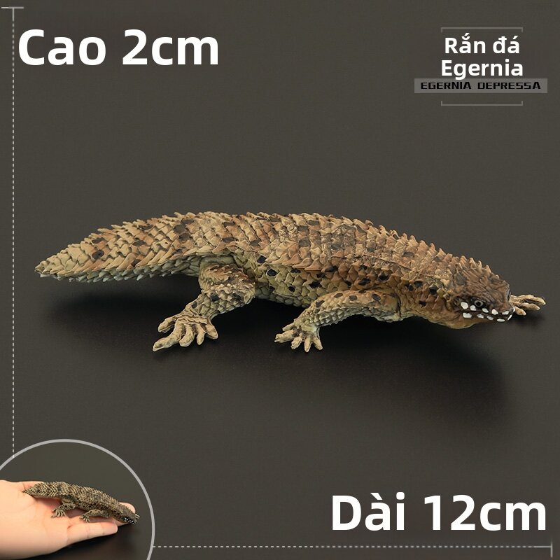 Mô Hình Động Vật Iguana Làm Quà Tặng Trí Tuệ