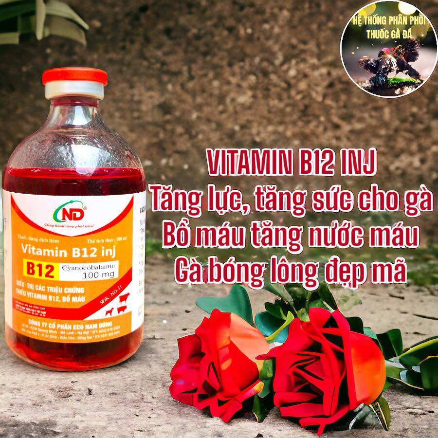 Thuốc gà đá vitamin b12 inj tăng nước máu, tăng bo, gà ăn uống mạnh chai 100 ml