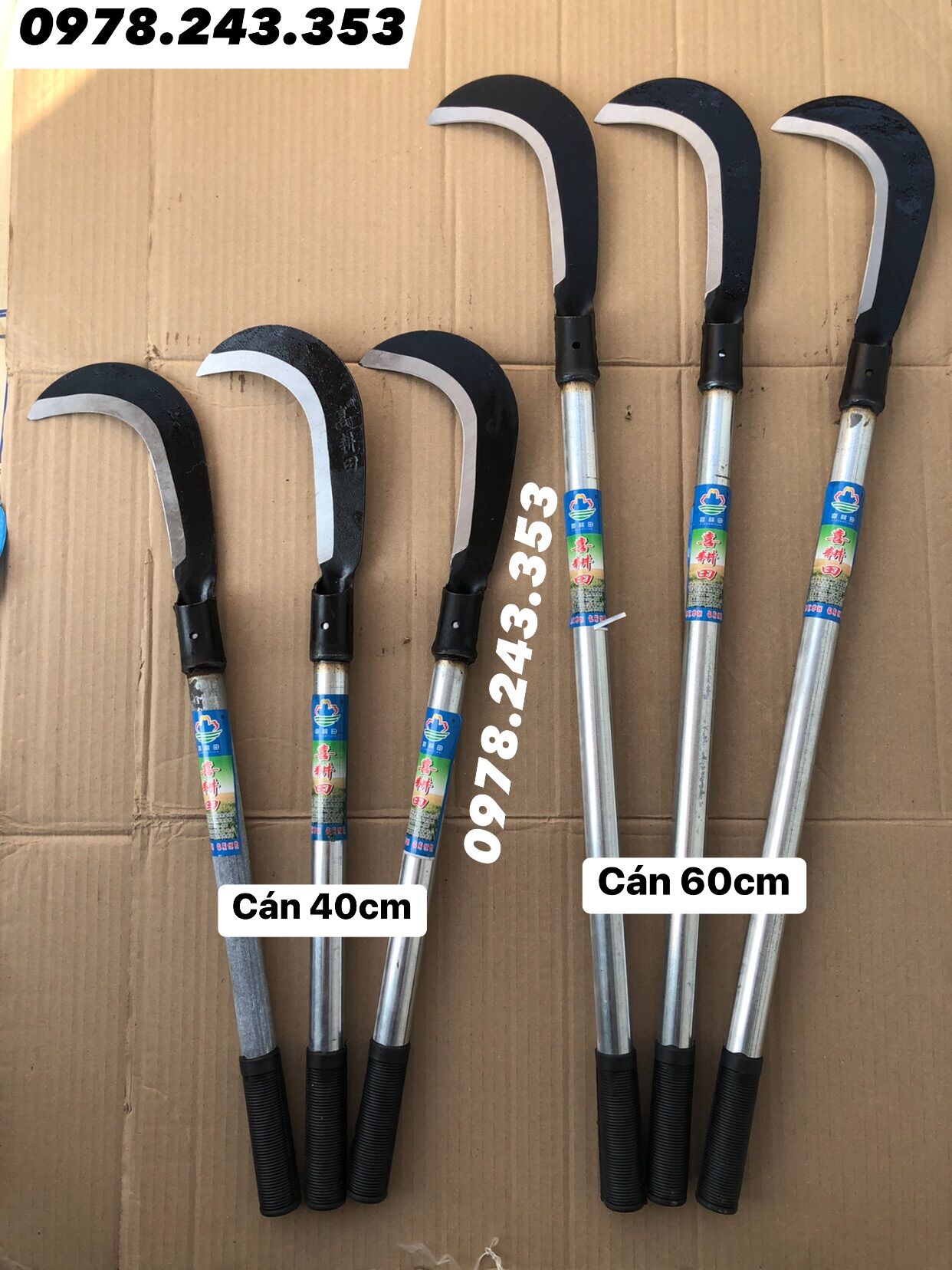 Quắm phát cây - cỏ cán tuýp 40cm và 60cm - hàng loại 1 nhập khẩu chắc khoẻ