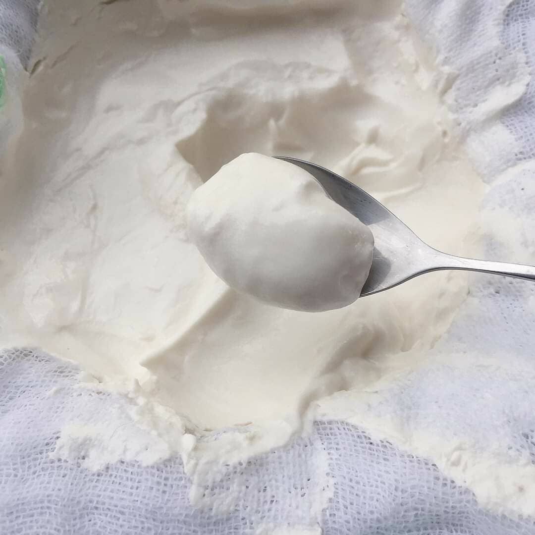 nấm sữa kefir làm sữa chua - 10gr