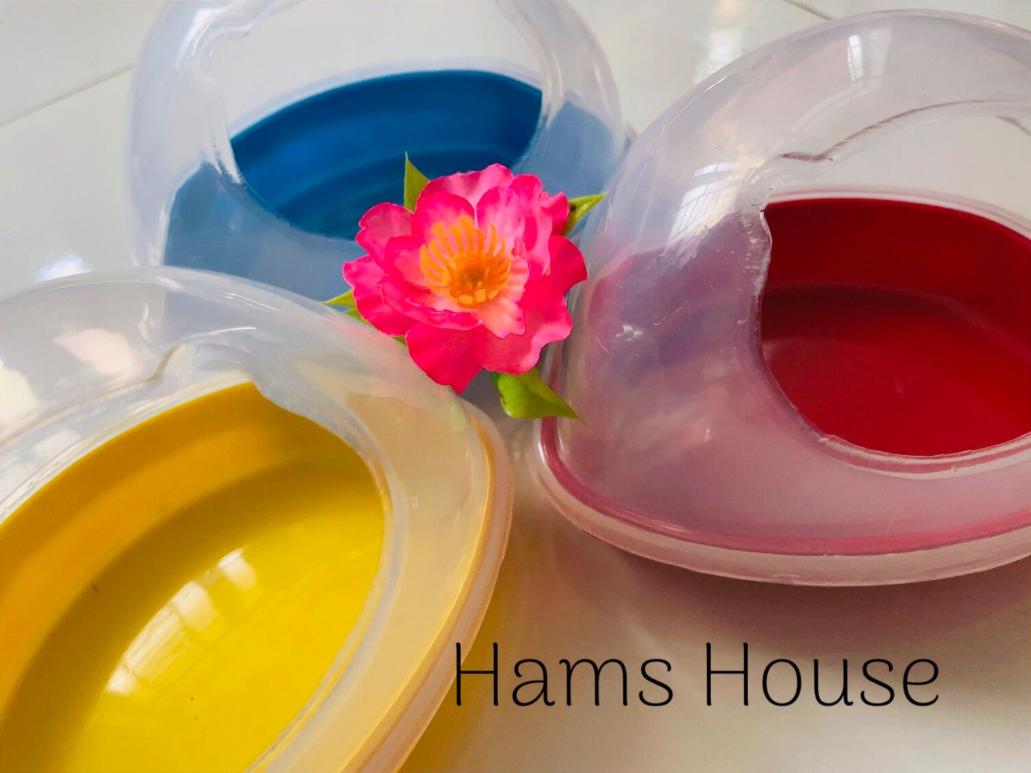 Nhà tắm lớn cho hamster
