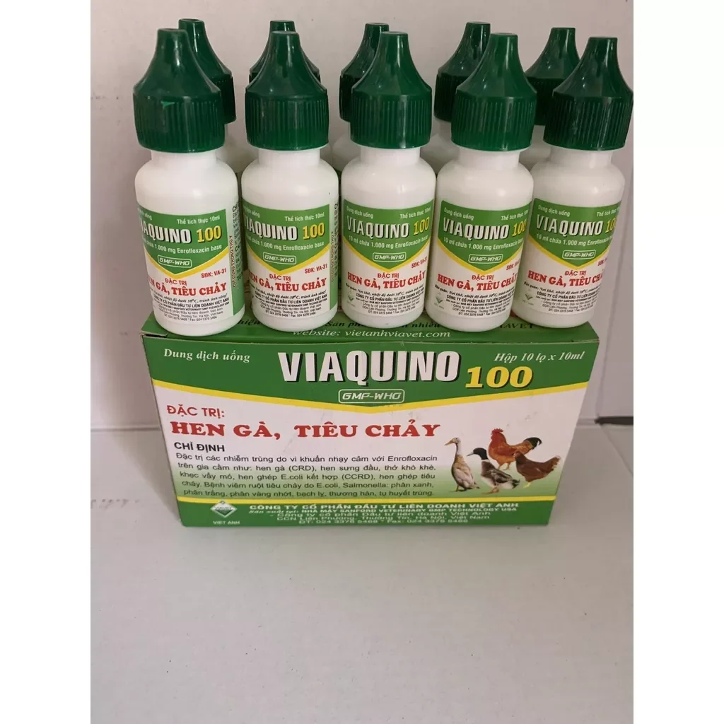 Viaquino 100 lọ 10ml Hen gà, tiêu chảy gà đá, gà chọi, chim cảnh, vịt, ngan, cút