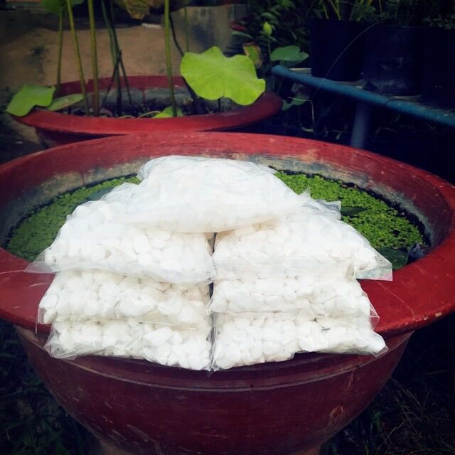 Đá Sỏi Trắng Trang Trí Bể Cá, Chậu Cây