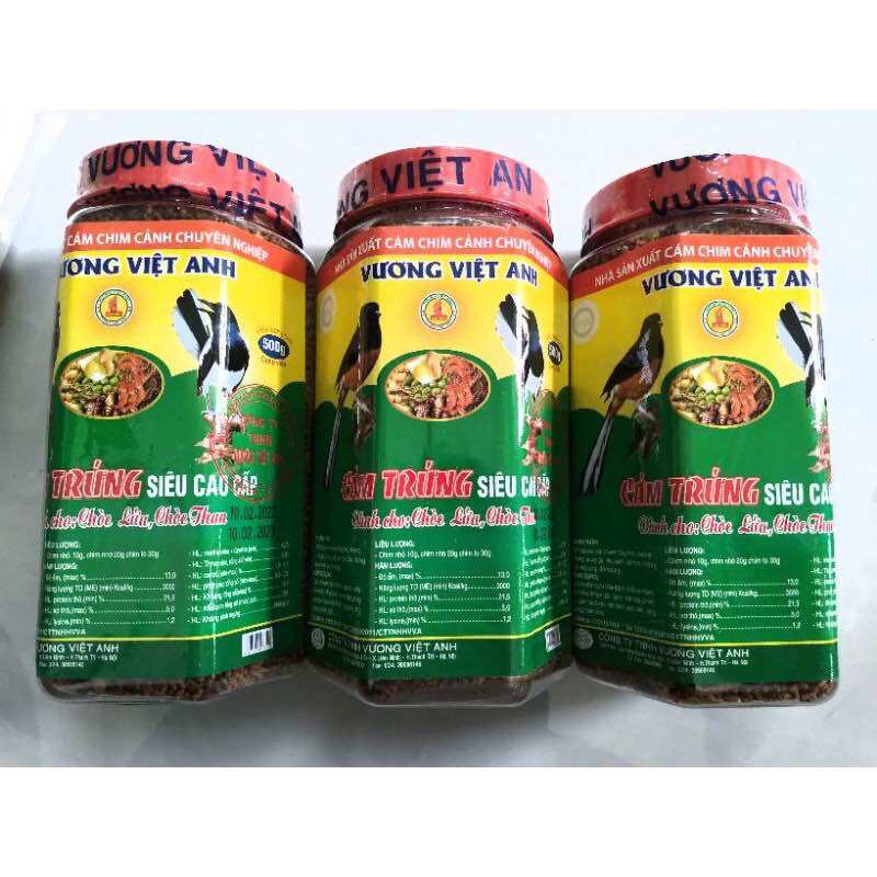 Cám dành chim chòe lửa, chòe than Vương Việt Anh