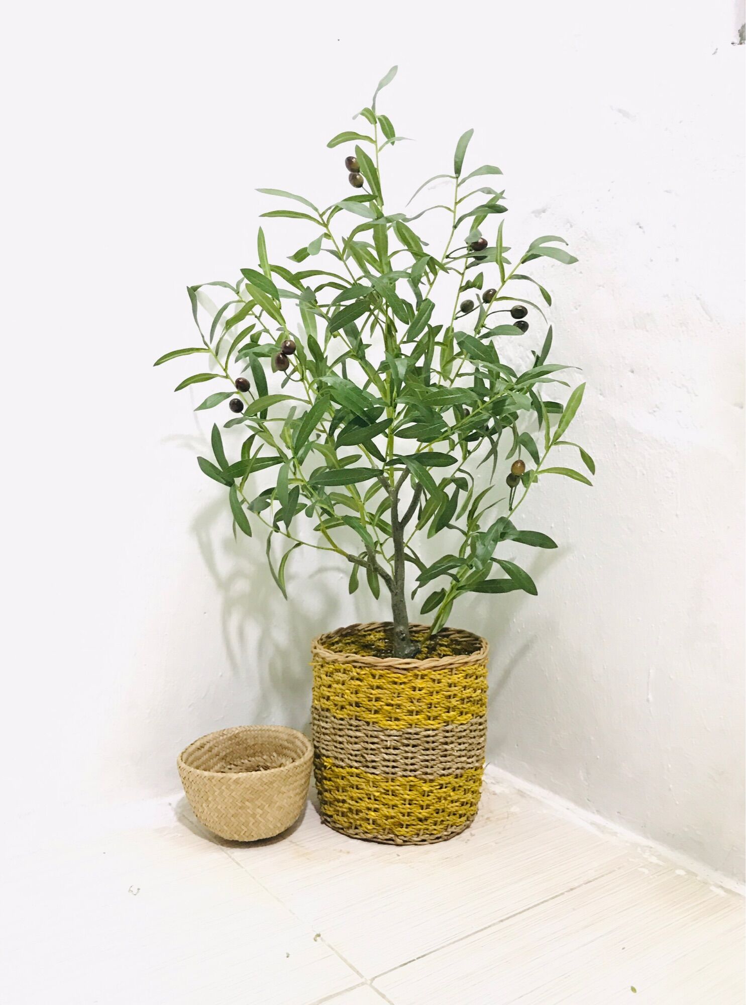 cây oliu - cây ô liu giả 85cm - hằng decor