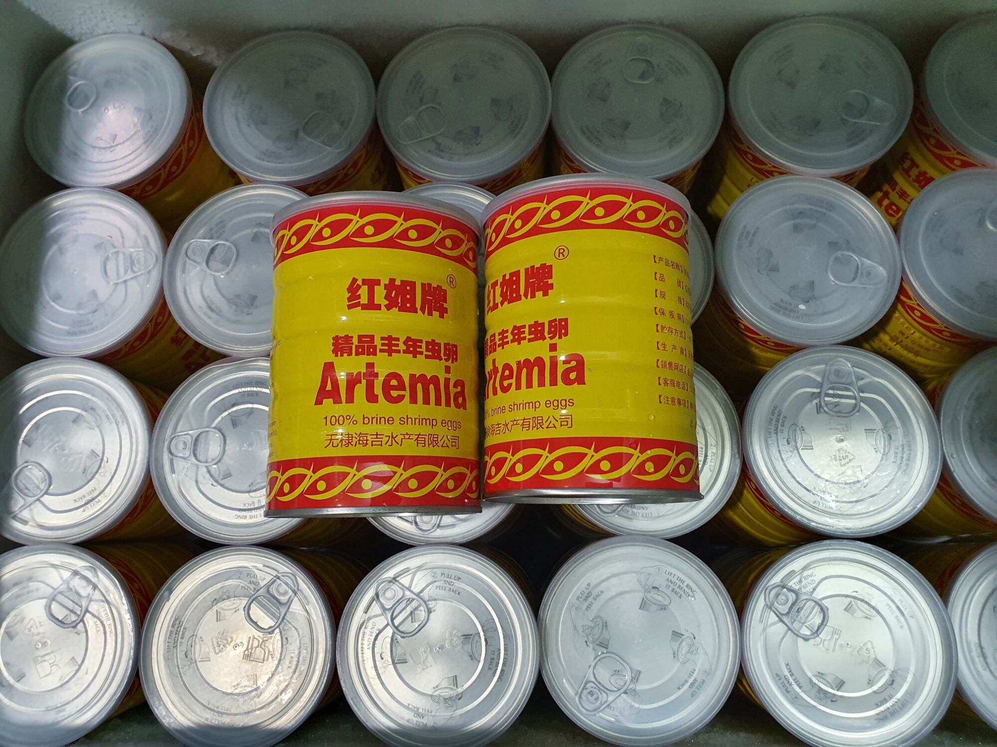 Artemia Lon Xanh Ấp Nở ( 10g 25g 50g )