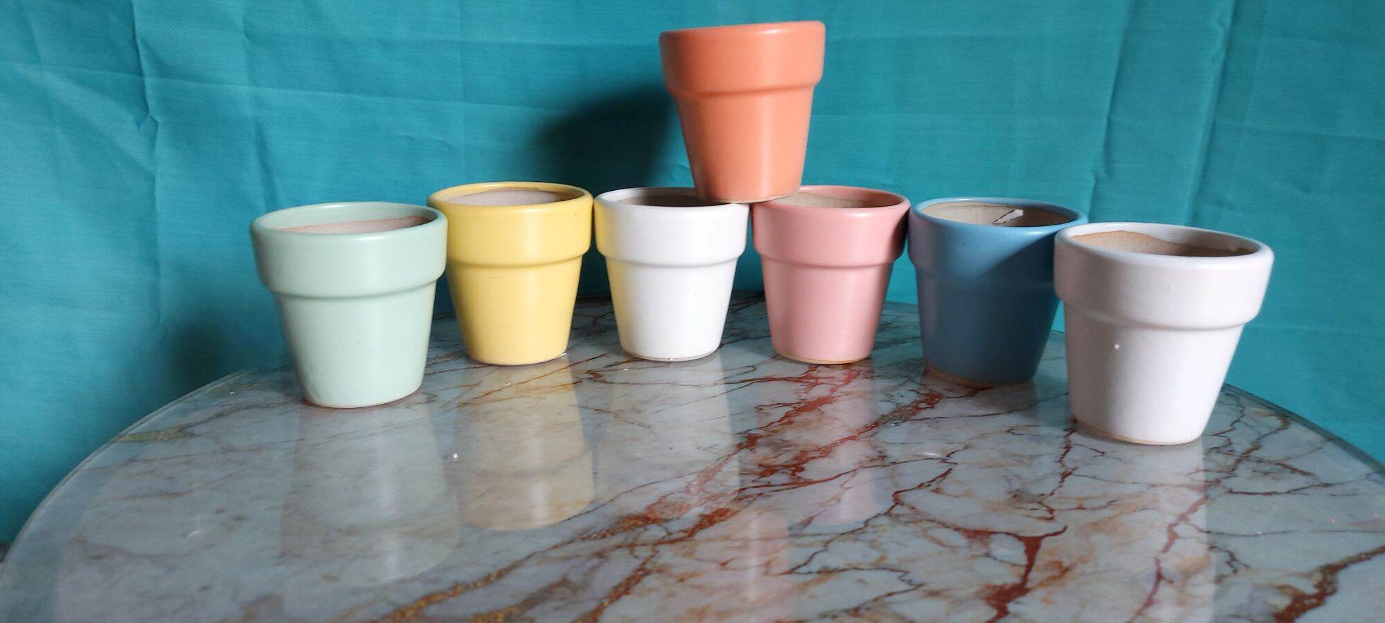 CHẬU SEN ĐÁ MINI GIÁ SIÊU RẺ