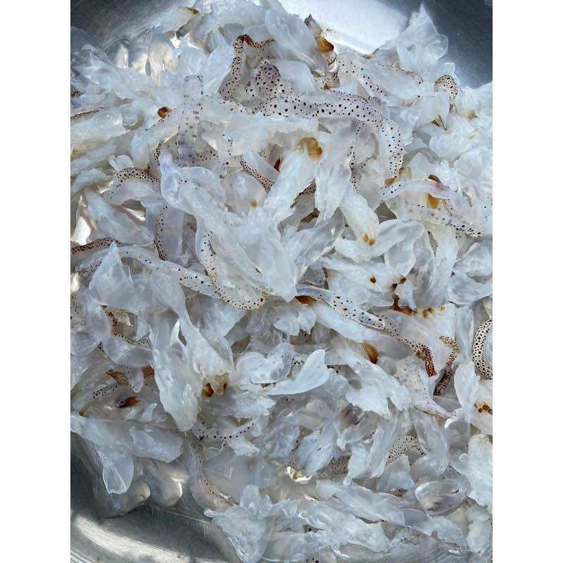 Sứa biển loại mặn. sứa đặc sản quảng trị 1000g