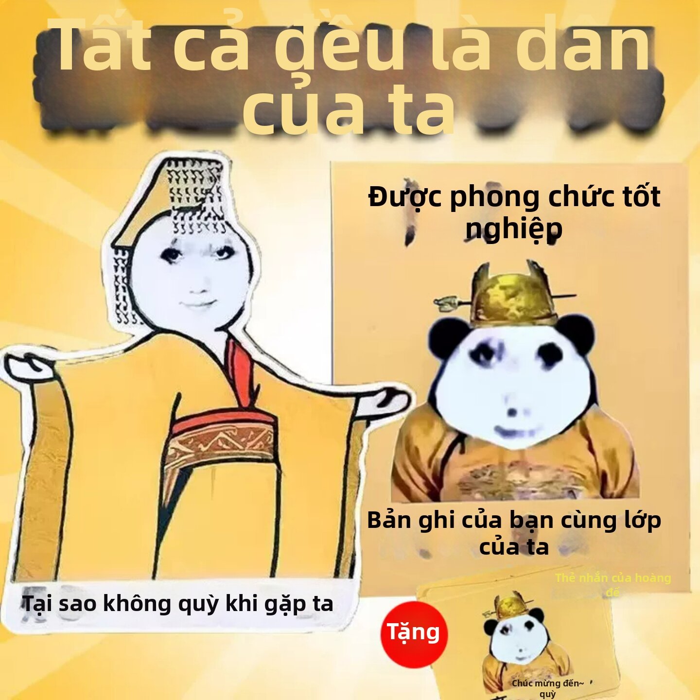 Feiyu | Album Độc Đáo Hài Hước Gia Đình Hoàng Gia