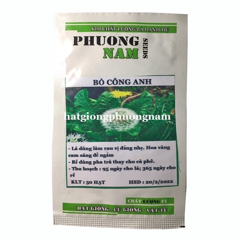 Hạt giống hoa bồ công anh
