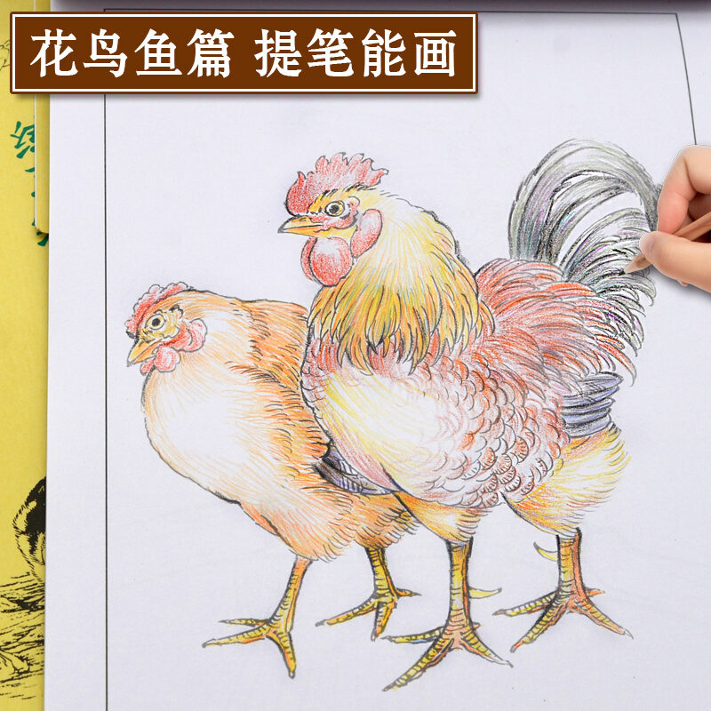 Tranh Trung Quốc Vở Phác Họa Nhập Môn Trắng 2 Quyển Tranh Tỉ Mỉ Họa Tiết Chim Hoa Côn Trùng Vẽ Tay Mai Lan Trúc Cúc Vẽ Nghệ Thuật Vẽ thumbnail