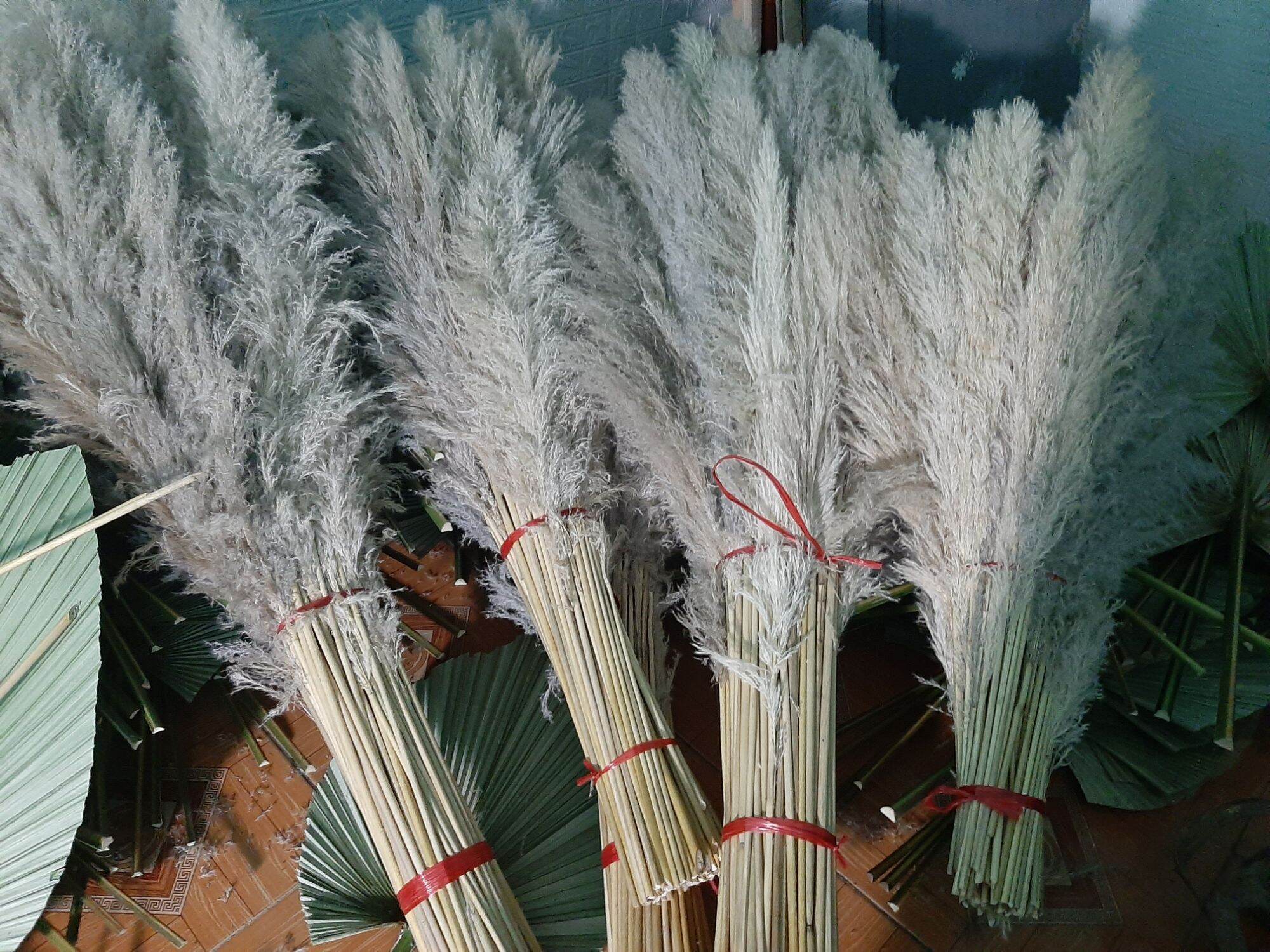 Bông lau Decor giá dẻ