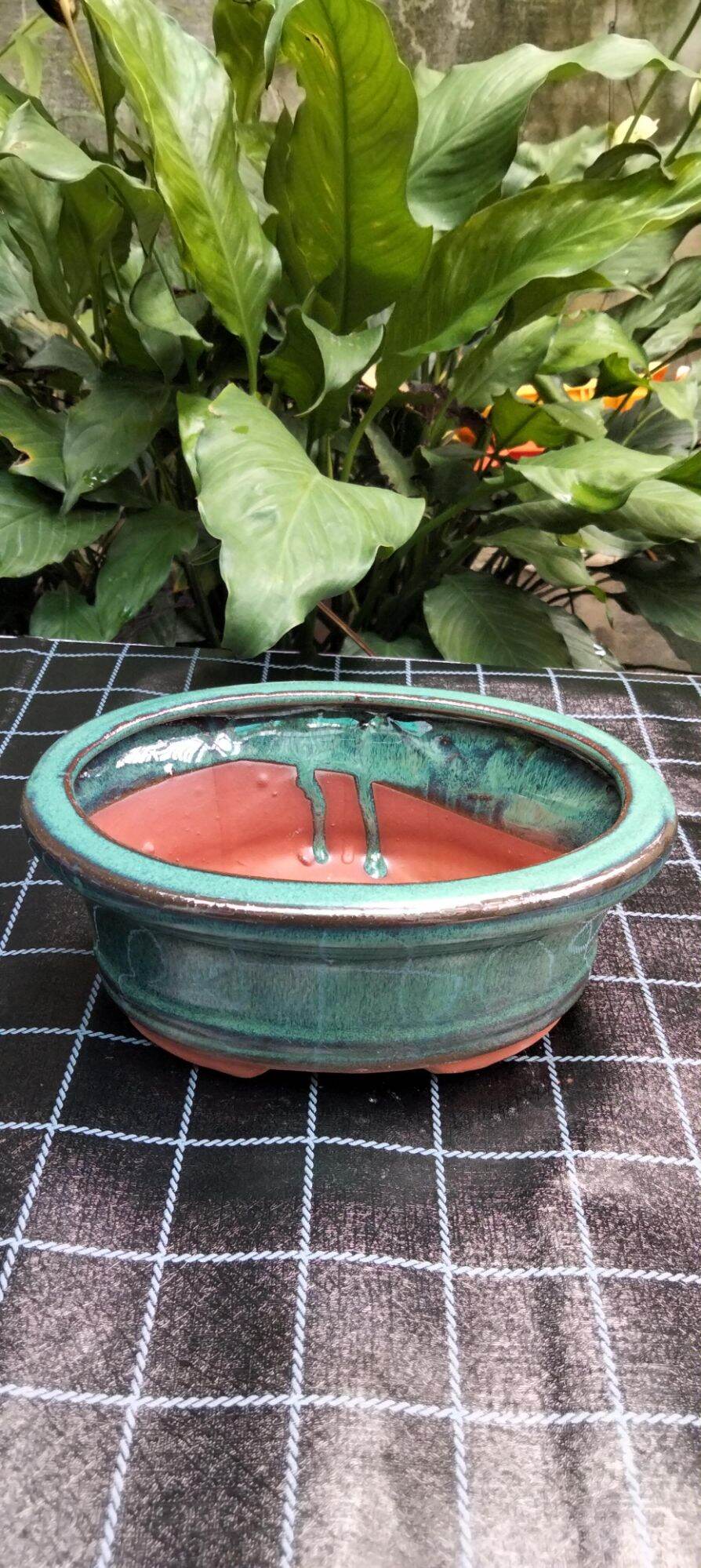 Chậu bonsai bát tràng ovan dáng cao
